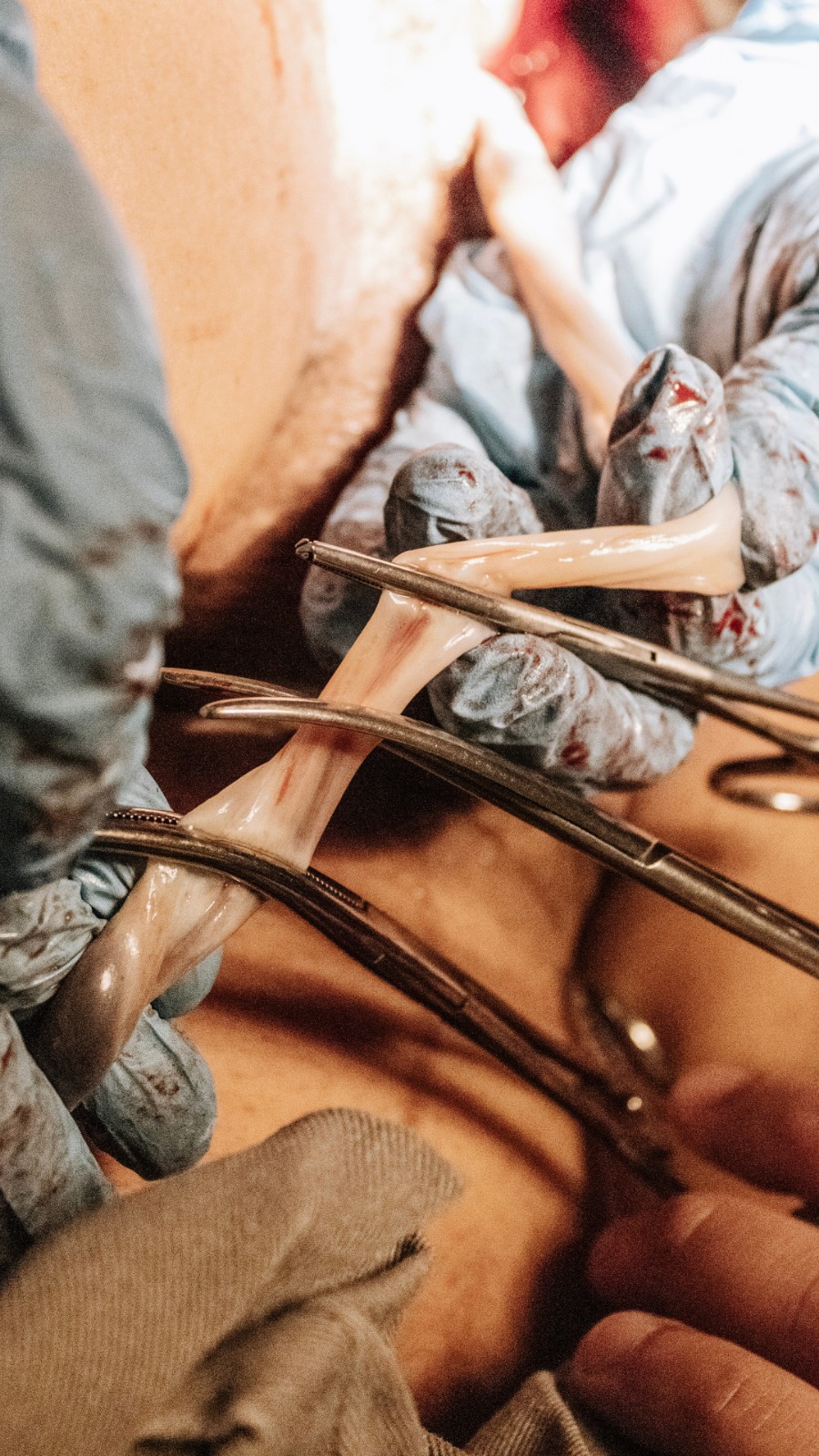 WhatsApp Image 2026-02-27 at 22.31.23